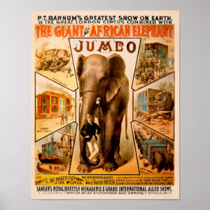 Vintage P.T. Barnum's Jumbo Poster ポスター