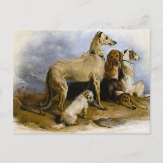 Vintage painting of five cute dogs ポストカード (正面)