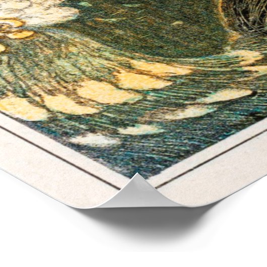 Vintage Peacock Illustration Poster ポスター (角)