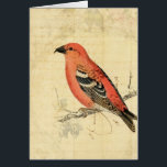 Vintage Pink Bird<br><div class="desc">All rights reserved © Angelandspot Digital art by Angelandspot with thanks to the Graphics Fairy and Playingwithbrushes for the images and textures used in this digital artwork.</div>