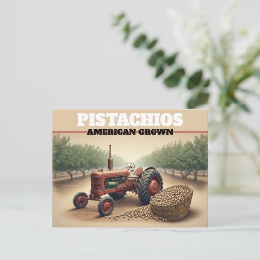 Vintage Pistachio Farming ポストカード (スタンド正面)