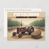 Vintage Pistachio Farming ポストカード (正面/裏面)