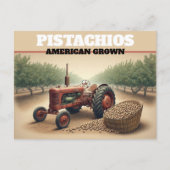 Vintage Pistachio Farming ポストカード (正面)