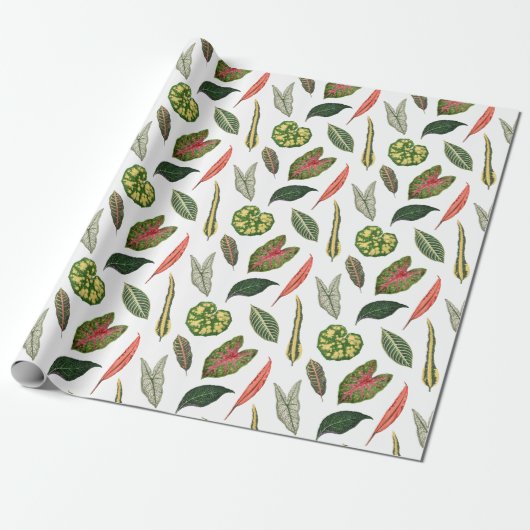 Vintage Plant Leaf Novelty Wrapping Paper - White ラッピングペーパー (アンロールド)