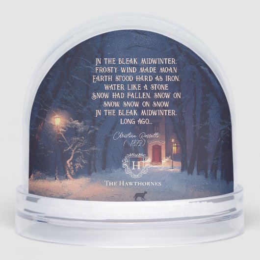 Vintage Poem Dark Academia Photo Snowglobe (正面)