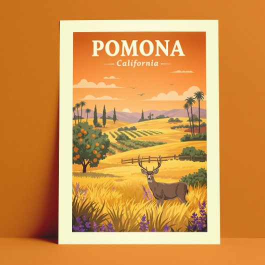 Vintage Pomona California ポストカード
