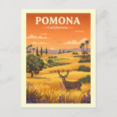 Vintage Pomona California ポストカード (正面)