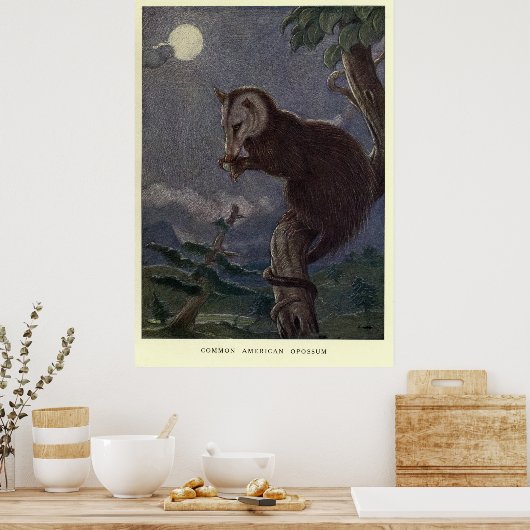 Vintage Possum Painting (1909) ポスター (キッチン)