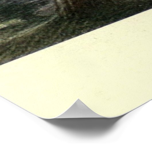 Vintage Possum Painting (1909) ポスター (角)