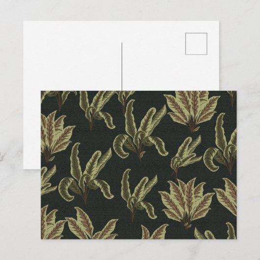 Vintage Potted Plants ポストカード (正面/裏面)