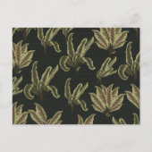 Vintage Potted Plants ポストカード (正面)