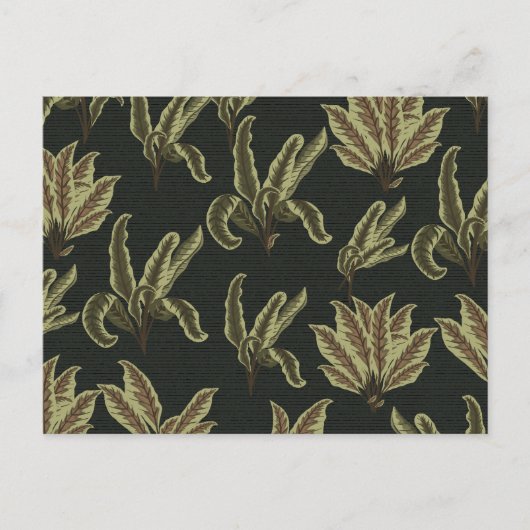 Vintage Potted Plants ポストカード (正面)