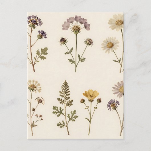 Vintage Pressed Wildflower Botanical Pattern ポストカード (正面)