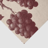 Vintage Print of Vineyard Grapes 薄葉紙 (詳細)