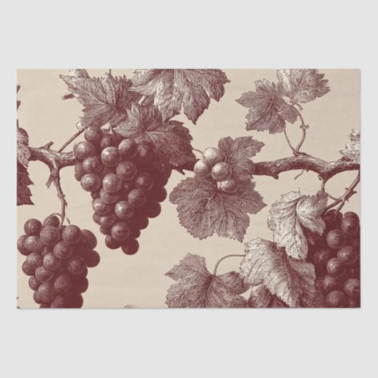 Vintage Print of Vineyard Grapes 薄葉紙 (正面)