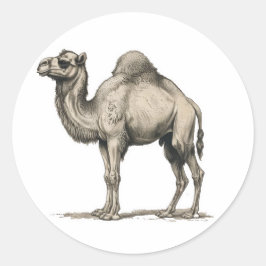 Vintage Realistic Camel Illustration-Desert Camel ラウンドシール