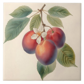 Vintage Red Plum Fruit Branch with Plum Blossom  タイル