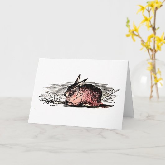 Vintage Red Rabbit Drawing Card カード (黄色い花)