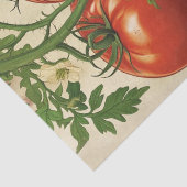 Vintage Red Tomato Botanical Decoupage 薄葉紙 (詳細)