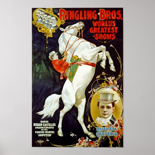 Vintage Ringling Bros. White Horse Poster ポスター (正面)