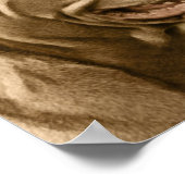 Vintage Santa Claus & Pet Pit Bull Dog ポスター (角)