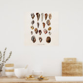 Vintage Sea Shells Personalized Retro Auger Shell ポスター (キッチン)