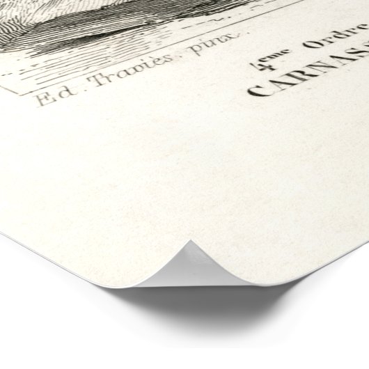 Vintage  Seal Illustration ポスター (角)