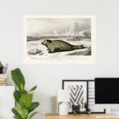 Vintage  Seal Illustration ポスター (ホームオフィス)