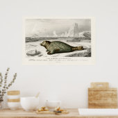 Vintage  Seal Illustration ポスター (キッチン)