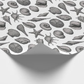 Vintage Seashell Ocean Nature Sketch Pattern ラッピングペーパー (角)