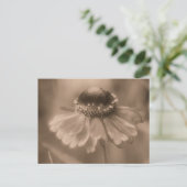 Vintage Sepia Zinnia Flower Personalized ポストカード (スタンド正面)