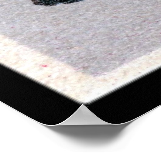 Vintage Soccer Print ポスター (角)