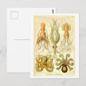 Vintage Squid & Octopus Illustration ポストカード (正面/裏面)