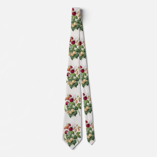 Vintage strawberry ネクタイ (正面)