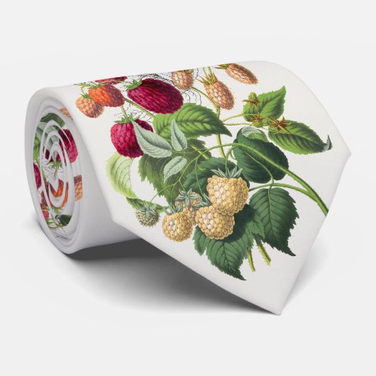 Vintage strawberry ネクタイ (ロール)