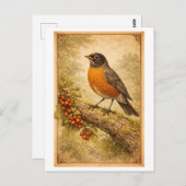 Vintage-Style American Robin Illustration ポストカード (正面/裏面)
