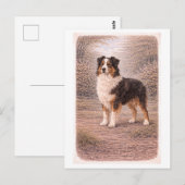 Vintage-Style Australian Shepherd ポストカード (正面/裏面)