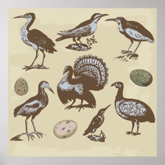 Vintage Style Birds Poster ポスター (正面)