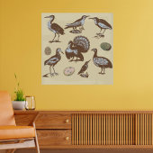 Vintage Style Birds Poster ポスター