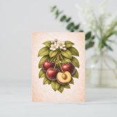 Vintage-Style Cherry Botanical Illustration ポストカード (スタンド正面)