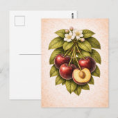 Vintage-Style Cherry Botanical Illustration ポストカード (正面/裏面)