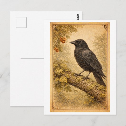 Vintage-Style Crow Illustration ポストカード (正面/裏面)
