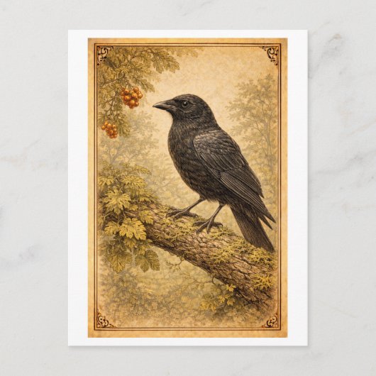 Vintage-Style Crow Illustration ポストカード (正面)