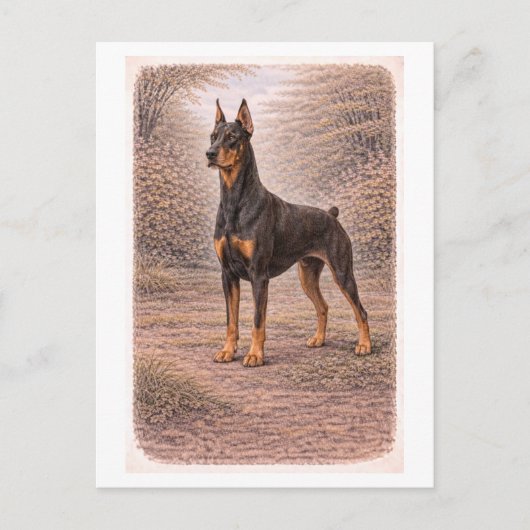 Vintage-Style Doberman Pinscher ポストカード (正面)
