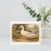 Vintage-Style Duck Illustration ポストカード (スタンド正面)
