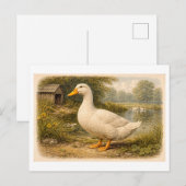 Vintage-Style Duck Illustration ポストカード (正面/裏面)