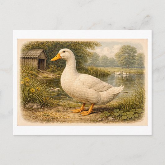 Vintage-Style Duck Illustration ポストカード (正面)