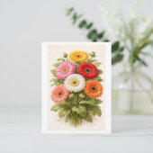 Vintage-Style Gerber Daisy Bouquet Drawing ポストカード (スタンド正面)