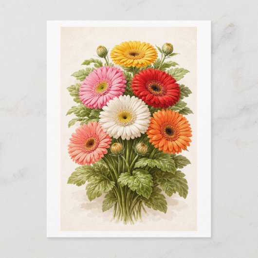 Vintage-Style Gerber Daisy Bouquet Drawing ポストカード (正面)