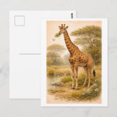 Vintage-Style Giraffe Illustration ポストカード (正面/裏面)